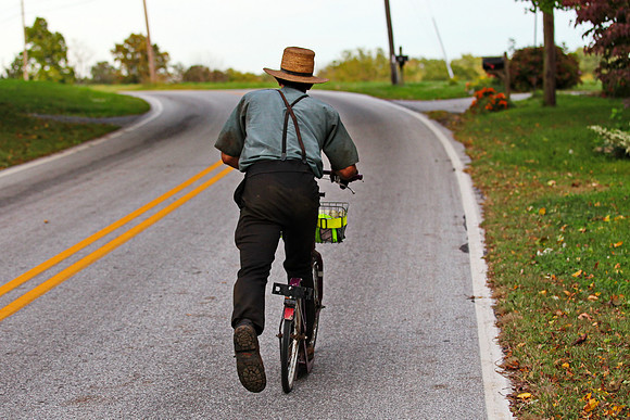 Amish Roller