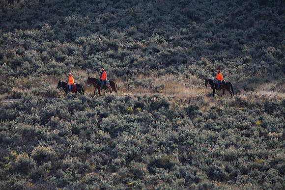 Hunting in Colorado on horseback
