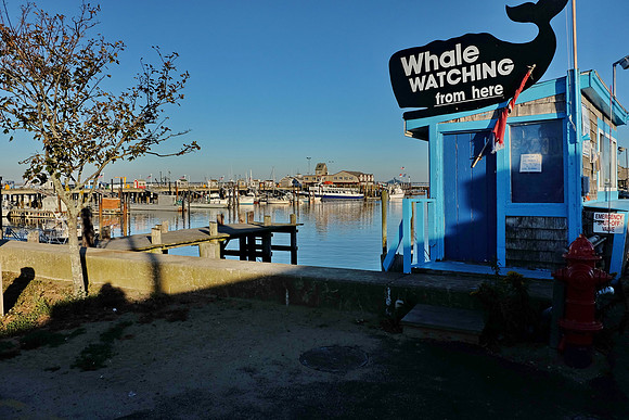 Provincetown Cape Cod 2013