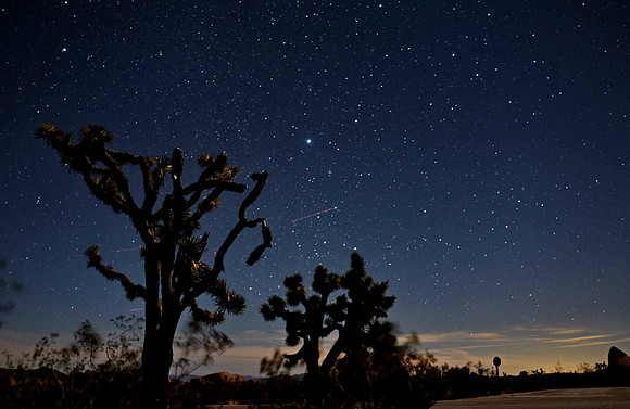 joshua tree national park @night