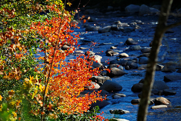 Indian summer in Vermont