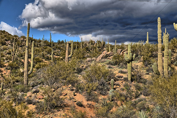 Near Apache Lake