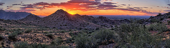 Phoenix Arizona