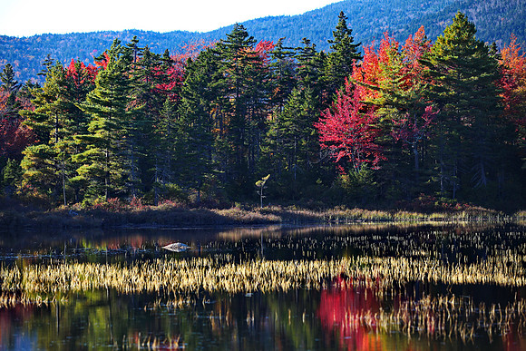 Indian summer in Vermont