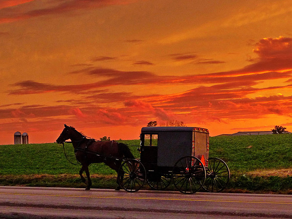 Amish Buggy after sunset