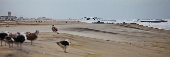 New Jersey Ocian Ave in Belmar